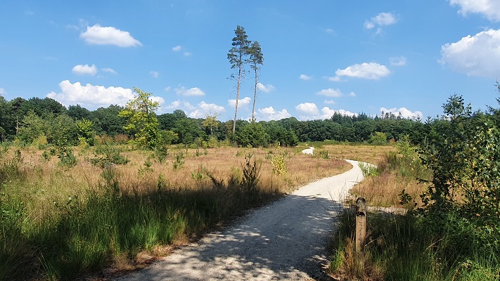 Wandeling over Groene Wissel Mook-Molenhoek bij de natuurbegraafplaats