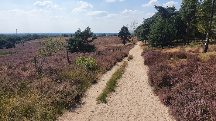 Wandeling over Groene Wissel Mook-Molenhoek bij de Heumense Schans