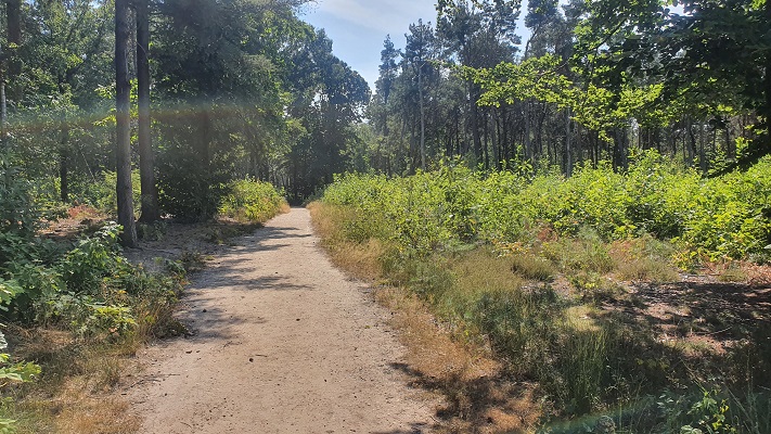 Wandeling over Groene Wissel Mook-Molenhoek