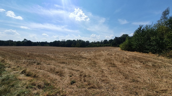 Wandeling over Groene Wissel Mook-Molenhoek bij de Mookerhei