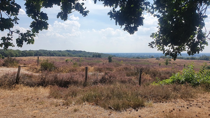 Wandeling over Groene Wissel Mook-Molenhoek bij de Mookerhei