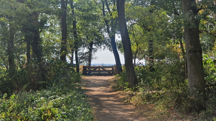 Wandeling over Groene Wissel Mook-Molenhoek bij de Mookerhei