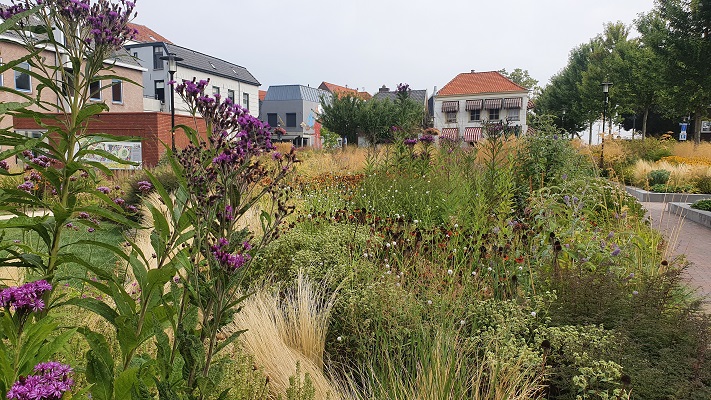 Groene Wissel Tiel bij de vlindertuin in Tiel