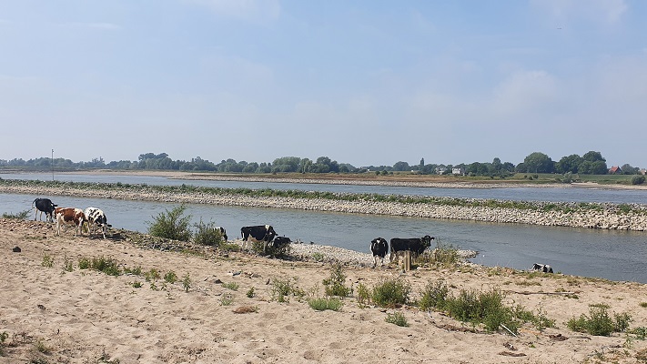 Groene Wissel Tiel bij de Waal