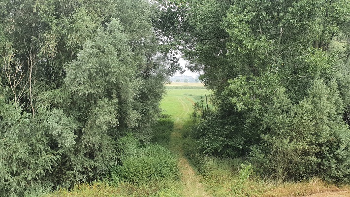 groene-wissel-tiel-2 Groene Wissel Tiel