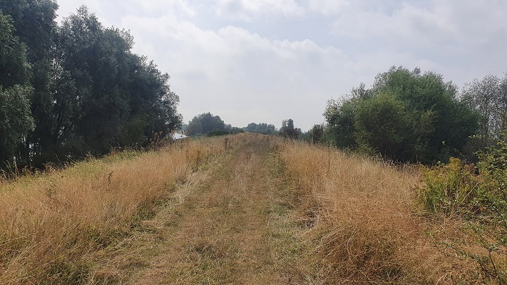 groene-wissel-tiel-21 Groene Wissel Tiel bij de Dreumelse Waard