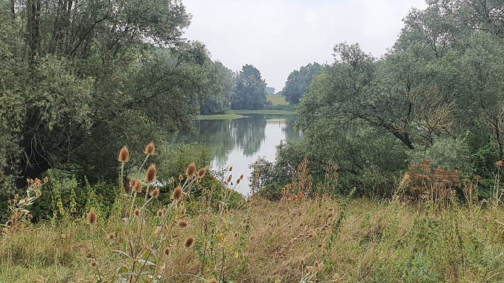 groene-wissel-tiel-24 Groene Wissel Tiel bij de Dreumelse Waard