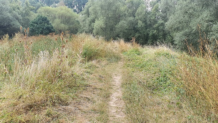 groene-wissel-tiel-25
