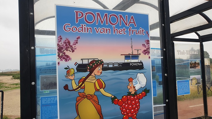 Groene Wissel Tiel bij voetveer Pomona