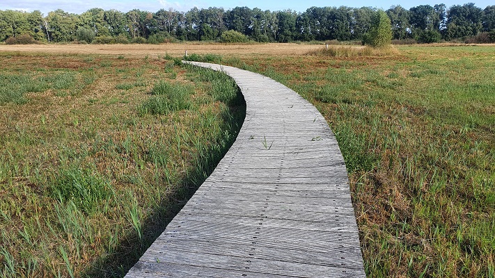 Trage Tocht Klein Amsterdam bij de Empense en Tondense Heide