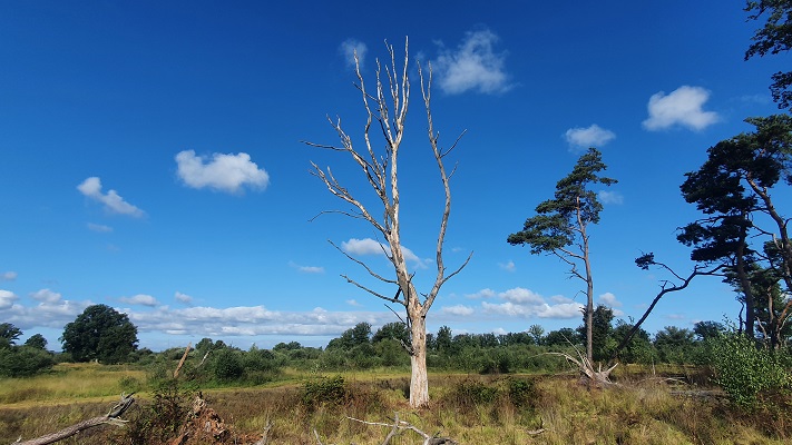 Trage Tocht Klein Amsterdam bij de Empense en Tondense Heide