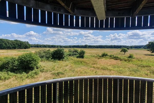 Wandeling over Trage Tocht Maarheeze De Pan bij uitkijktoren over de Weeterbossen