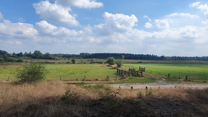 Trage Tocht Riel in het beekdal van de Lei