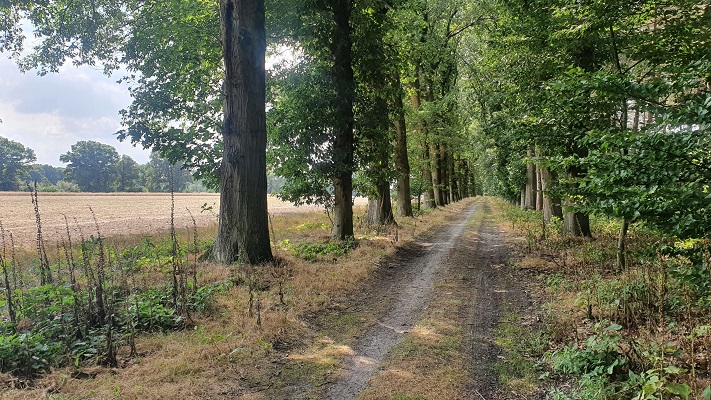 Trage Tocht Riel bij landgoed De Hoeven