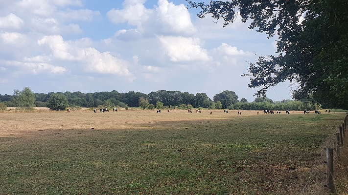 Trage Tocht Riel bij landgoed De Hoeven