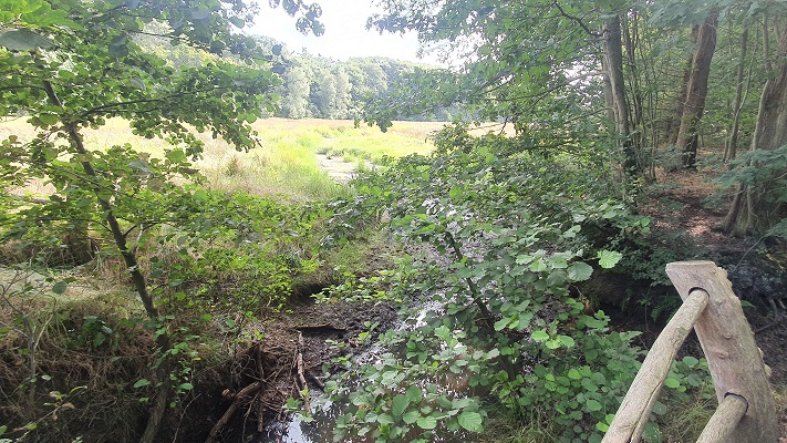 Trage Tocht Riel bij de Lei