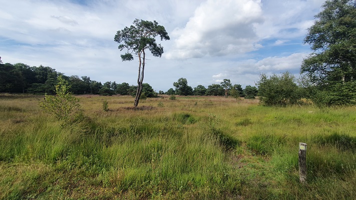 Trage Tocht Riel bij de Regte Heide