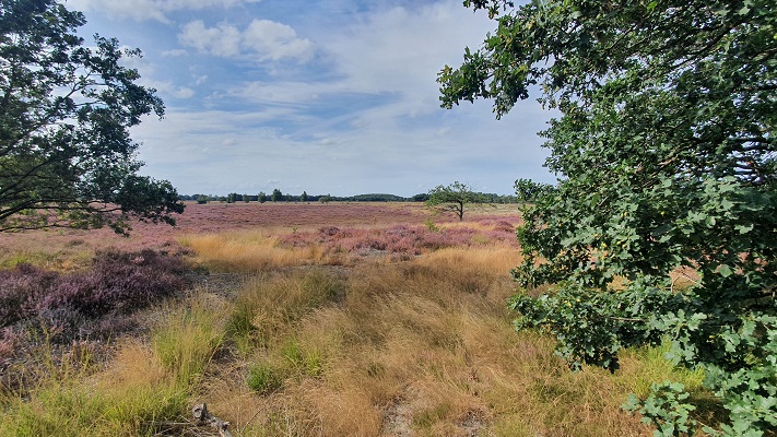 Trage Tocht Riel bij de Regte Heide