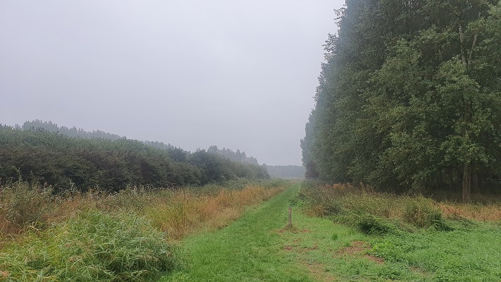 Wandeling over Groene Wissel Houten in natuurgebied Nieuw Wulven