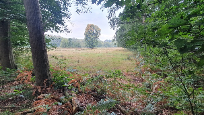 Wandeling over Ons Kloosterpad van Vught naar Sint-Michielsgestel bij landgoed Zegenwerp