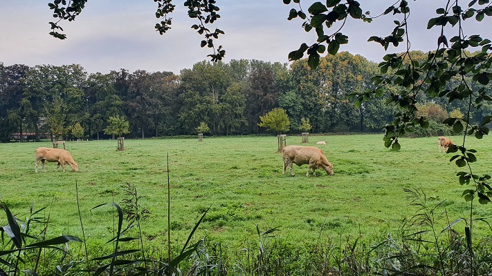 Wandeling over Ons Kloosterpad van Vught naar Sint-Michielsgestel bij landgoed Zegenwerp