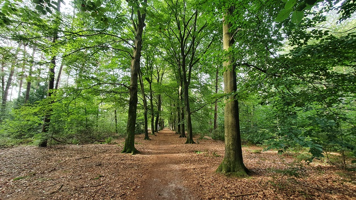 Wandeling over Ons Kloosterpad van Vught naar Sint-Michielsgestel