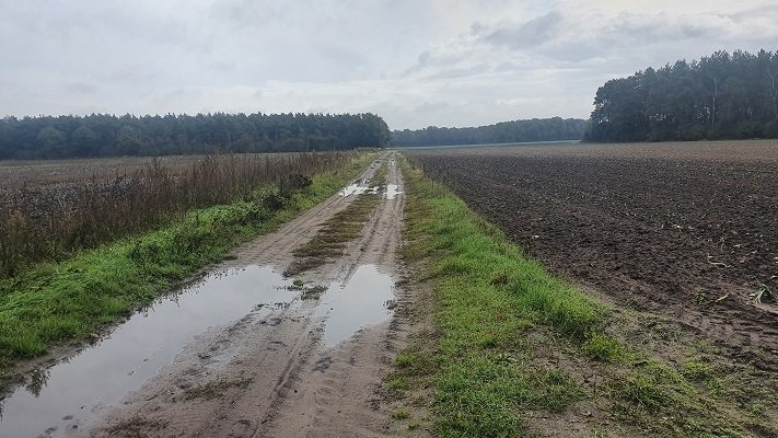 Wandeling over Trage Tocht America bij de Schadijkse Bossen