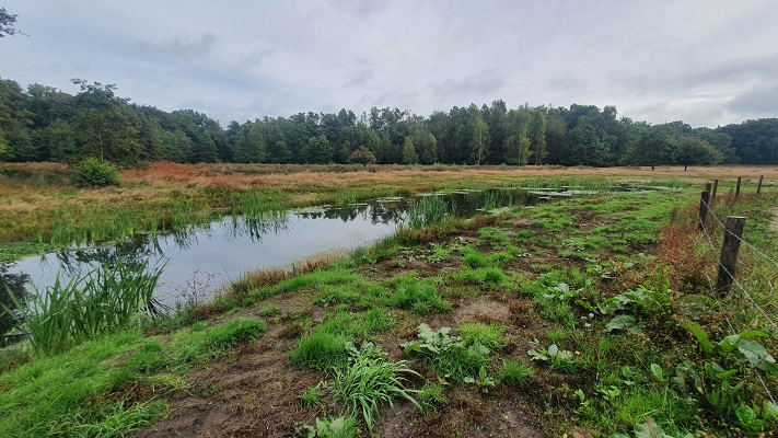 Wandeling over Trage Tocht America bij de Lollebeek