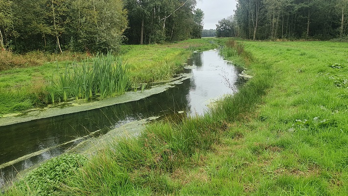 Wandeling over Trage Tocht America bij de Lollebeek