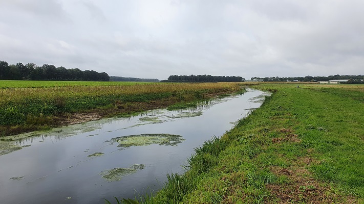 Wandeling over Trage Tocht America bij de Lollebeek