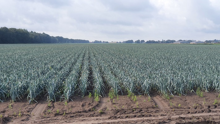 Wandeling over Trage Tocht America