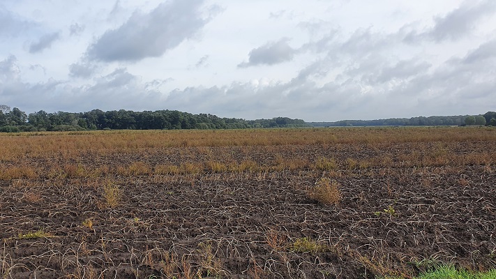 Wandeling over Trage Tocht America
