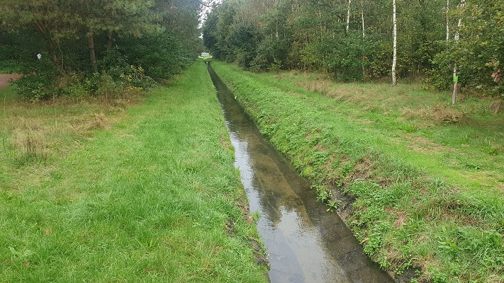 Wandeling over Trage Tocht America bij de Heere Peel