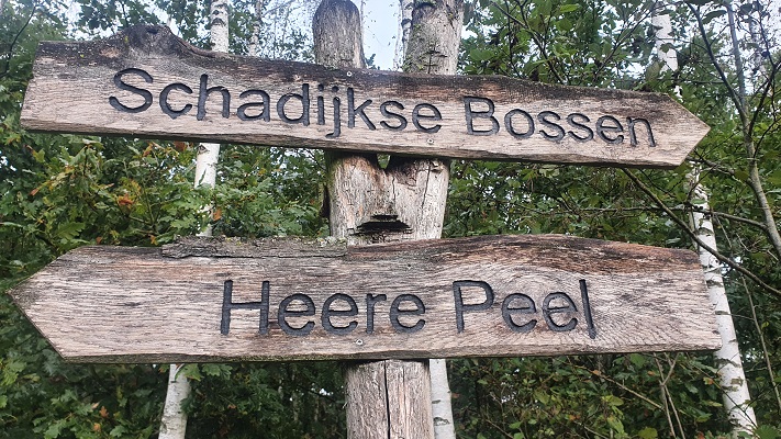 Wandeling over Trage Tocht America bij de Heere Peel