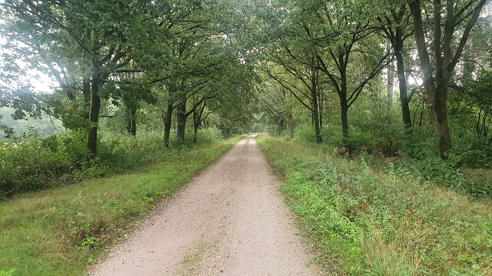 Wandeling over Trage Tocht America bij de Schadijkse Bossenv