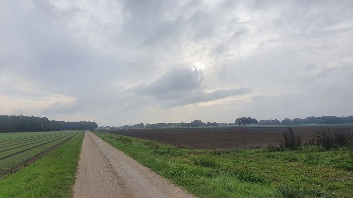 Wandeling over Trage Tocht America bij de Schadijkse Bossen