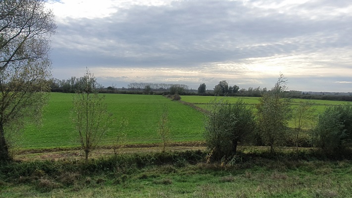 Wandeling over Knopenrondje Oud-Zevenaar