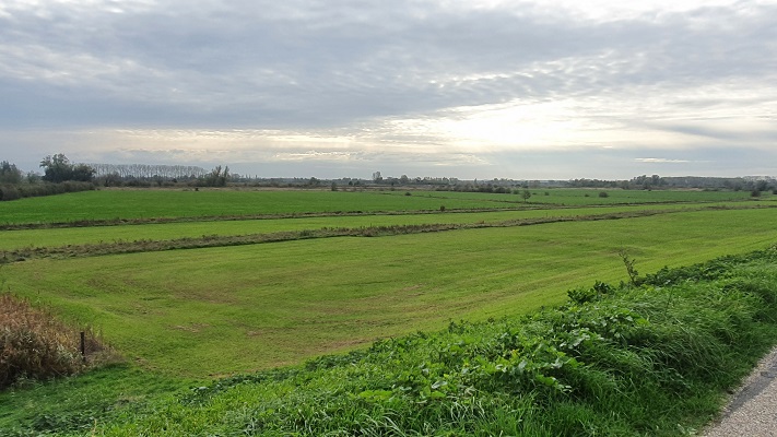 Wandeling over Knopenrondje Oud-Zevenaar