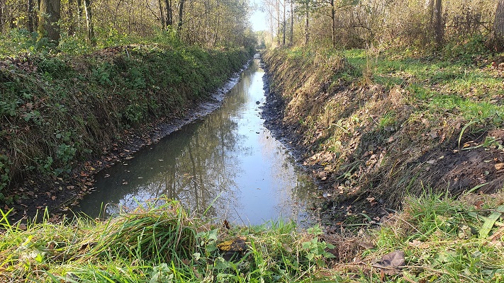 Wandeling over Ons Kloosterpad van Hooydonk naar Aarle-Rixtel in het Wettens Broek