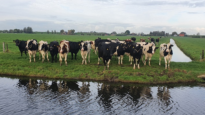 Wandeling over Trage Tocht Lexmond