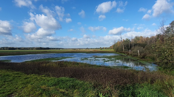 Wandeling over Trage Tocht Rijssen bij een pingoruïne