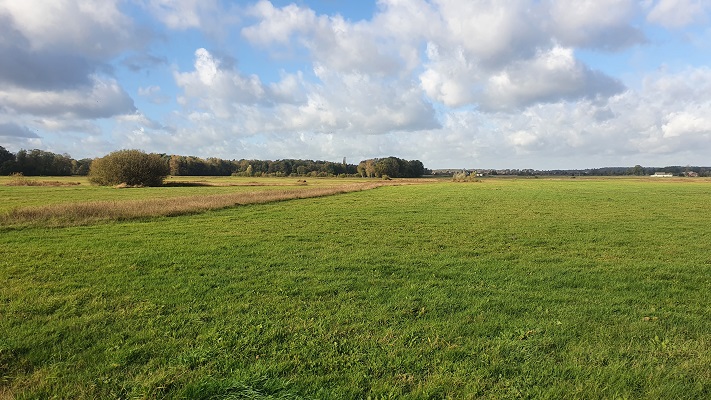 Wandeling over Trage Tocht Rijssen op de Zunase Heide