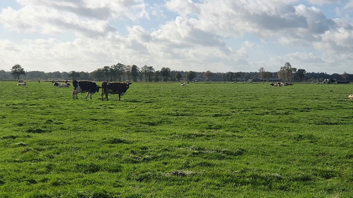 Wandeling over Trage Tocht Rijssen op de Zunase Heide
