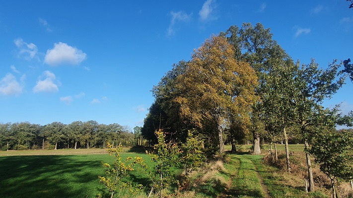 Wandeling over Trage Tocht Rijssen bij Ligtenberg