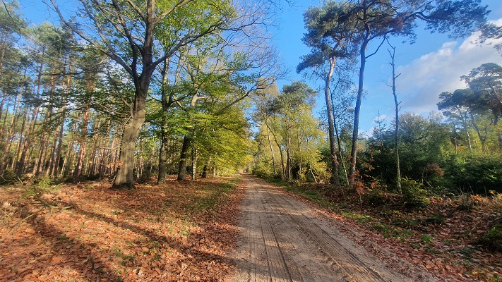 Wandeling over Trage Tocht Rijssen bij Ligtenberg