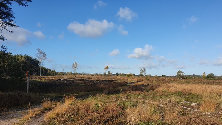 Wandeling over Trage Tocht Rijssen op de Hexelse Heide