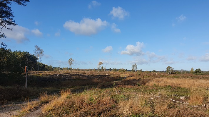Wandeling over Trage Tocht Rijssen op de Hexelse Heide