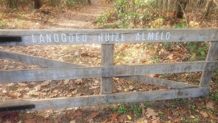 Wandeling Nijreesbos De Doorbraak van Wandelen in Twente
