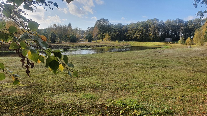 Wandeling Nijreesbos De Doorbraak van Wandelen in Twente bij ecologische verbindingszone