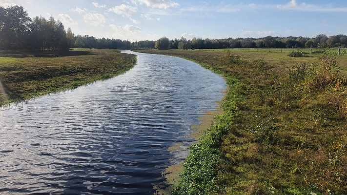 Wandeling Nijreesbos De Doorbraak van Wandelen in Twente bij ecologische verbindingszone